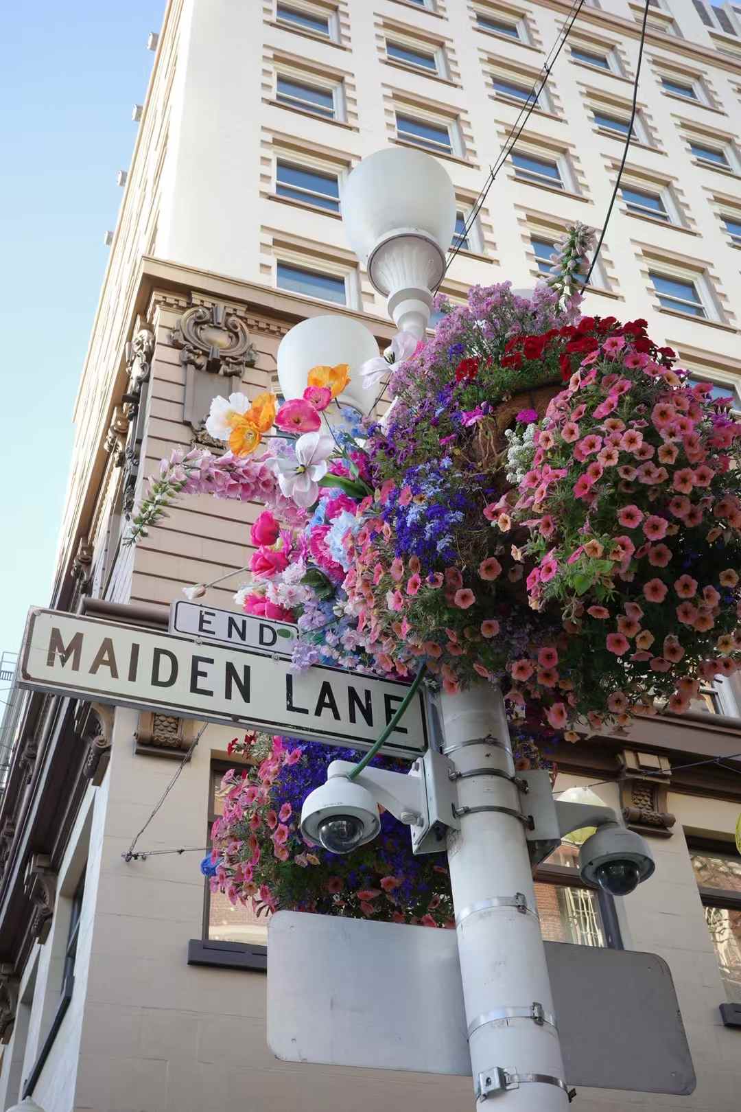 Maiden Lane flowers